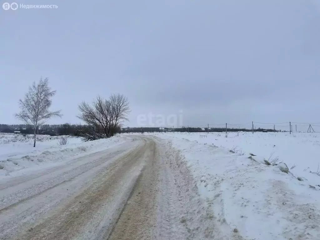 Участок в Тульская область, городской округ Тула, село Тёплое, ... - Фото 2