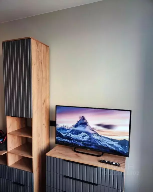 1-к кв. Санкт-Петербург просп. Энергетиков, 8к2 (25.0 м) - Фото 2