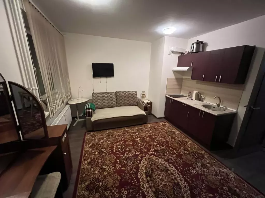 Студия Санкт-Петербург пос. Парголово, проезд Толубеевский, 26к1 (24.0 ... - Фото 1