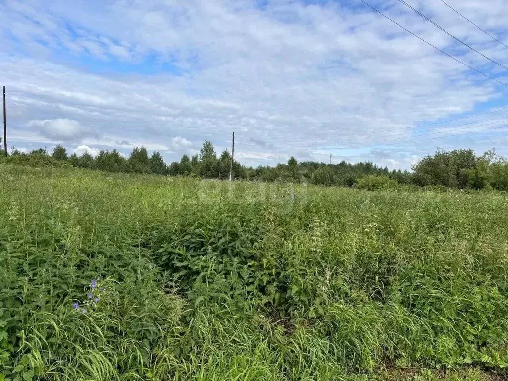 Участок в Кировская область, Слободской район, Шиховское с/пос, д. ... - Фото 1