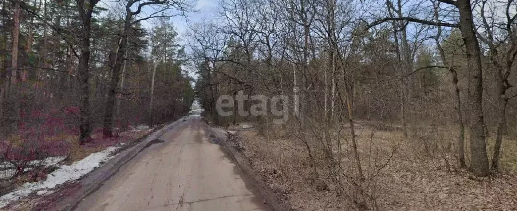 Участок в Воронежская область, Рамонский район, с. Ямное  (8.0 сот.) - Фото 1