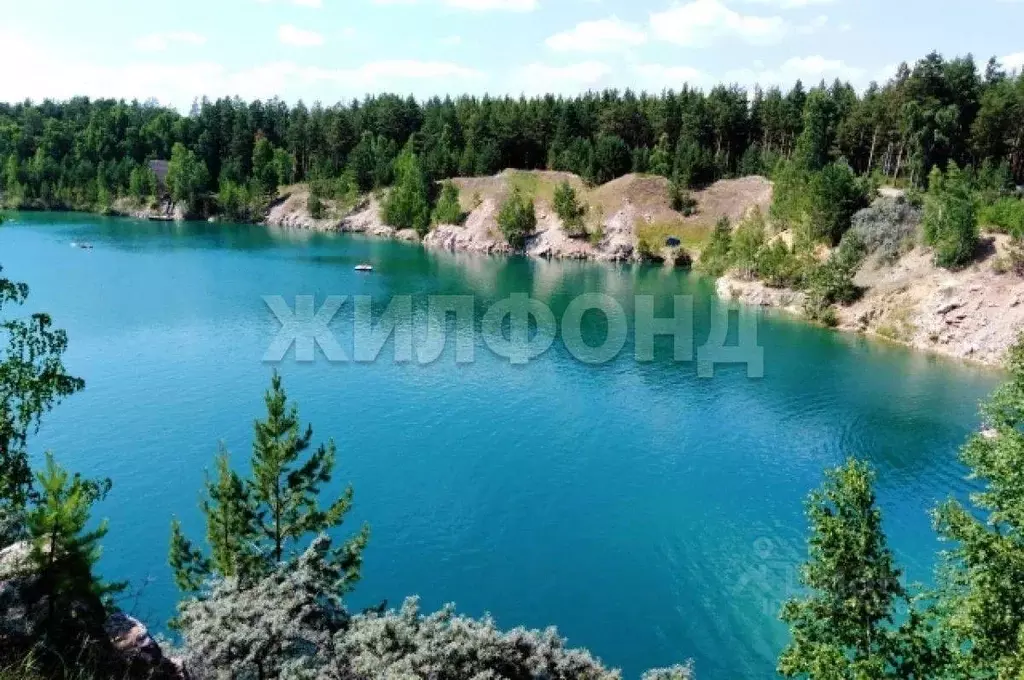 Участок в Новосибирская область, Ордынский район, д. Абрашино ... - Фото 1