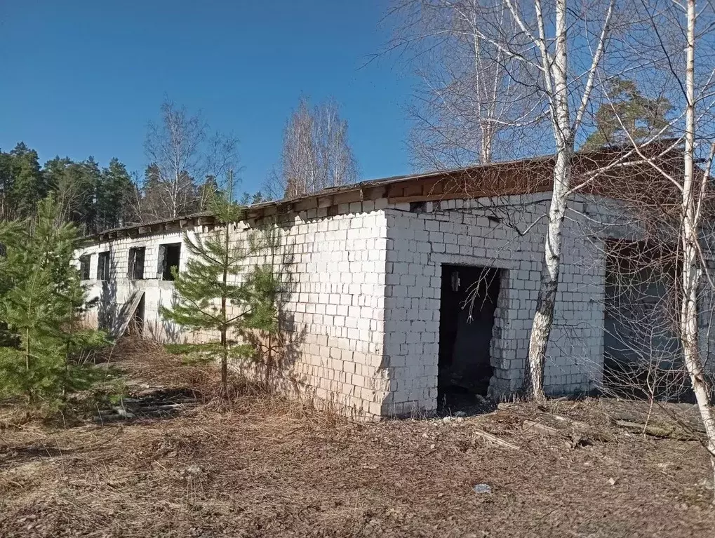 Производственное помещение в Владимирская область, Камешковский район, ... - Фото 0