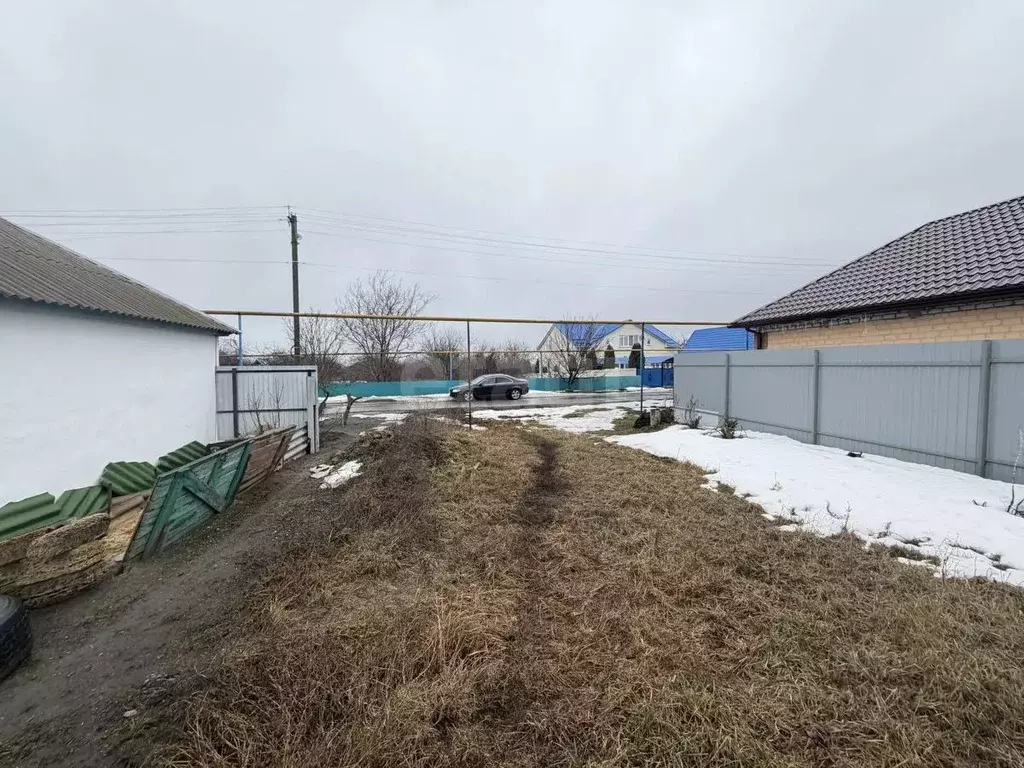 Участок в Белгородская область, Корочанский район, с. Погореловка ... - Фото 2