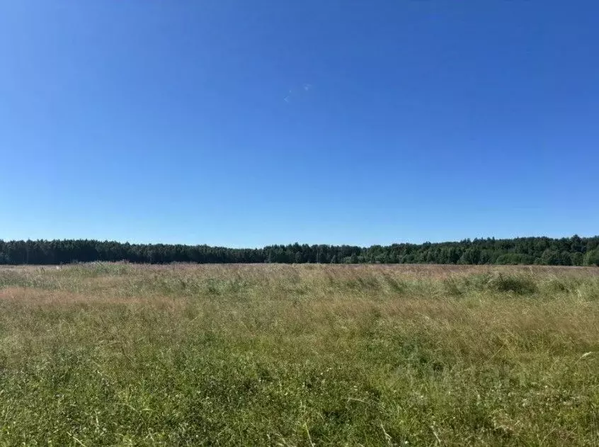 Участок в Московская область, Павлово-Посадский городской округ, д. ... - Фото 1
