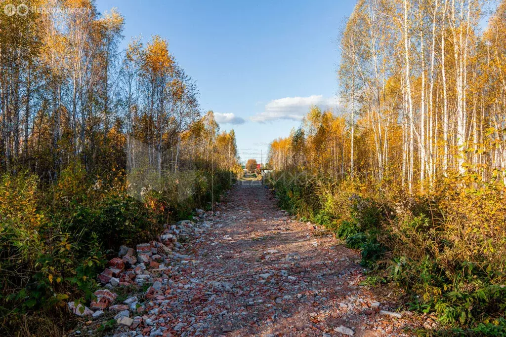 Участок в Нижнетавдинский район, ТСН Строитель (14.12 м) - Фото 0