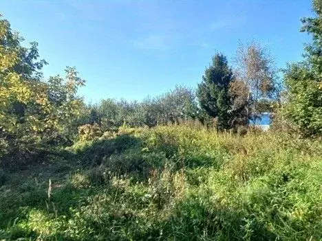 Участок в Московская область, Сергиево-Посадский городской округ, д. ... - Фото 2