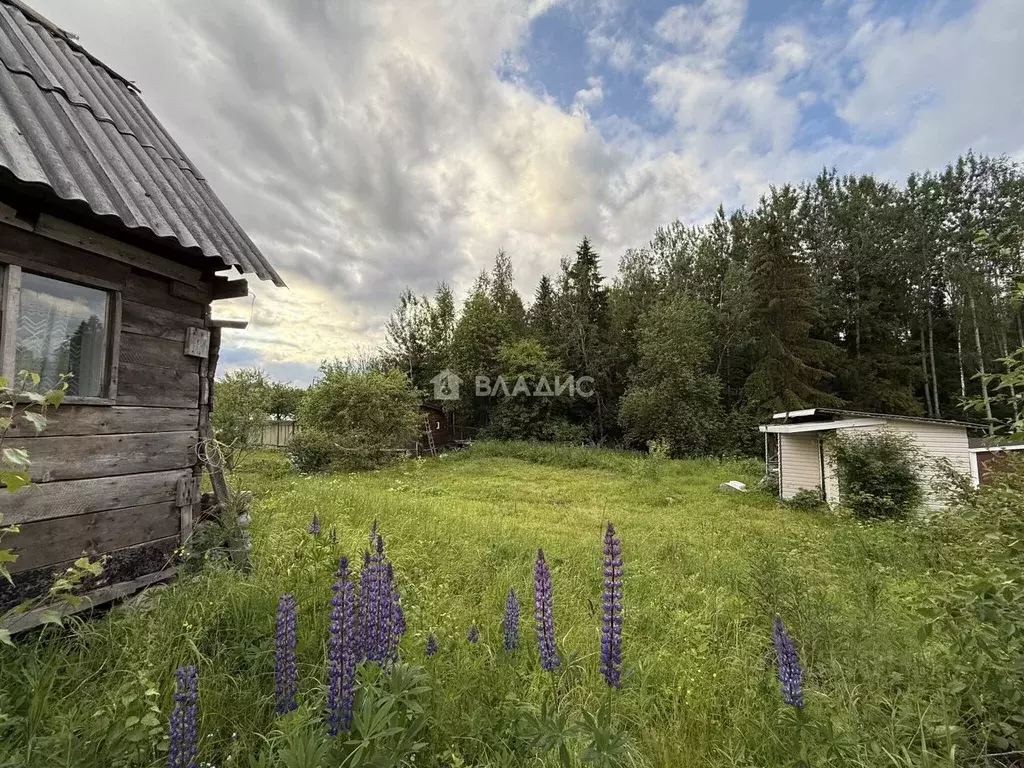 Участок в Карелия, Прионежский район, Деревянкское с/пос, Ручеек СНТ ... - Фото 1