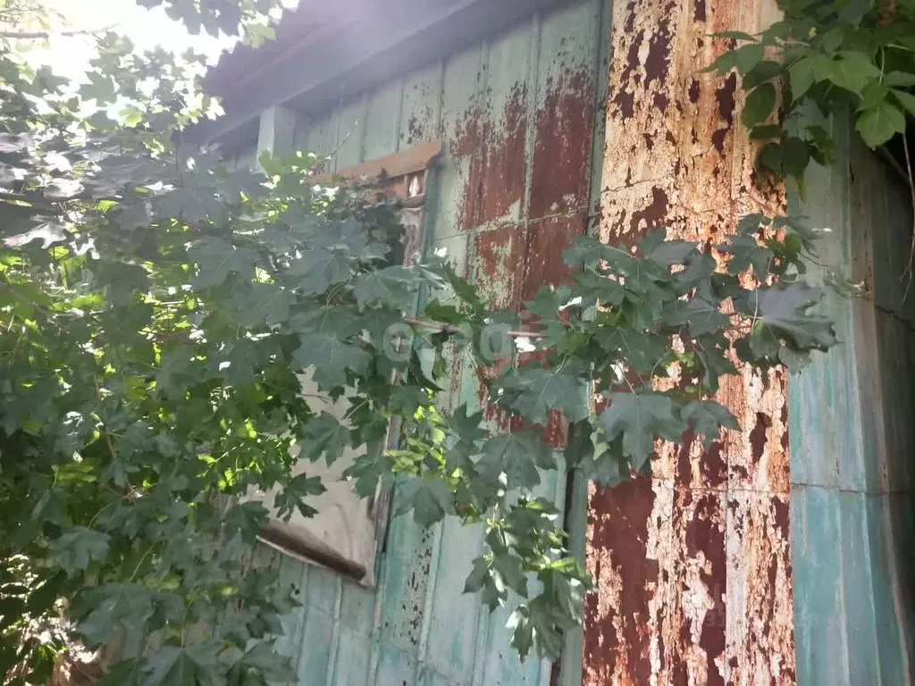 Дом в Белгородская область, Губкинский городской округ, с. Истобное ... - Фото 0