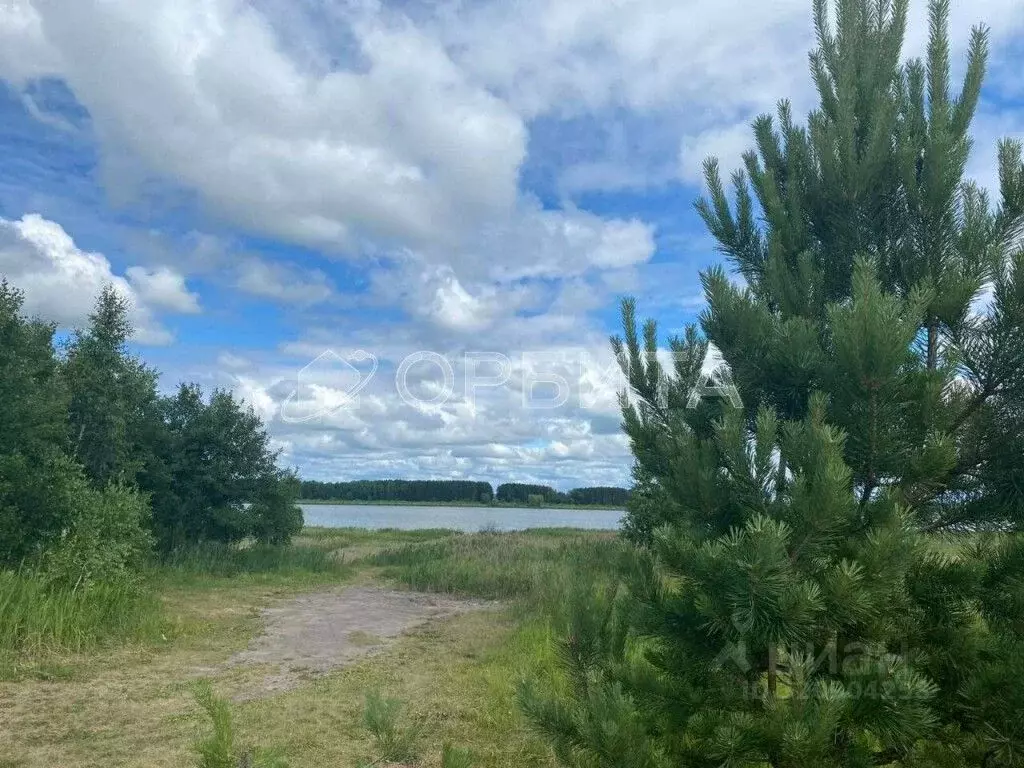 Участок в Тюменская область, Исетский район, с. Слобода-Бешкиль  ... - Фото 0