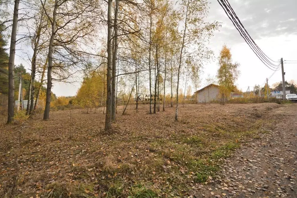 Участок в Московская область, Павловский Посад Мишутинская слобода кп, ... - Фото 2