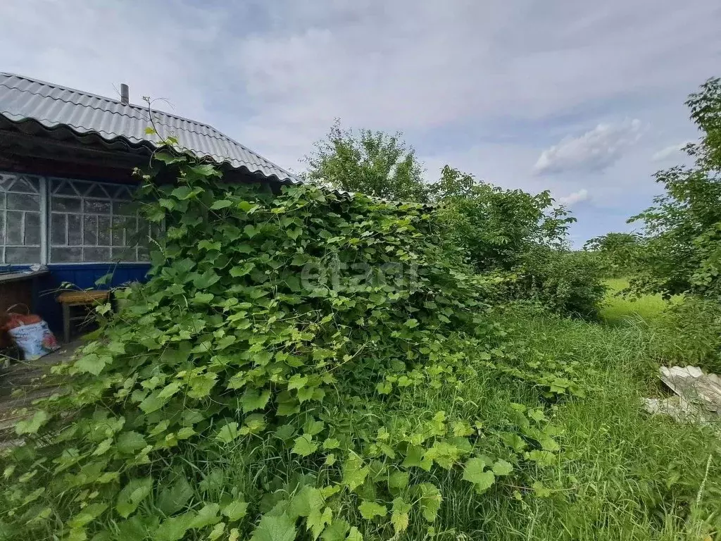 Дом в Белгородская область, Валуйский городской округ, с. Принцевка ... - Фото 1