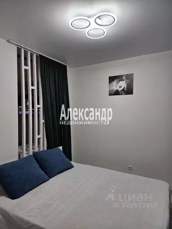 2-к кв. Ленинградская область, Мурино Всеволожский район, ул. Шоссе в ... - Фото 2