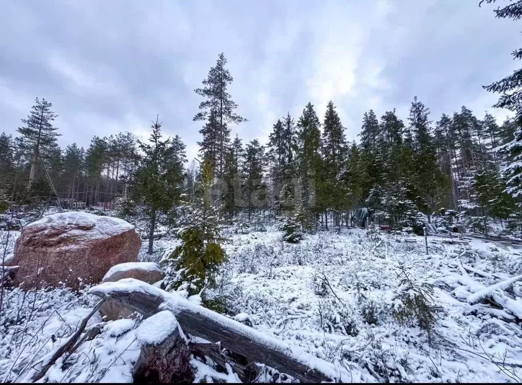 Участок в Ленинградская область, Выборгский район, Полянское с/пос, ... - Фото 1