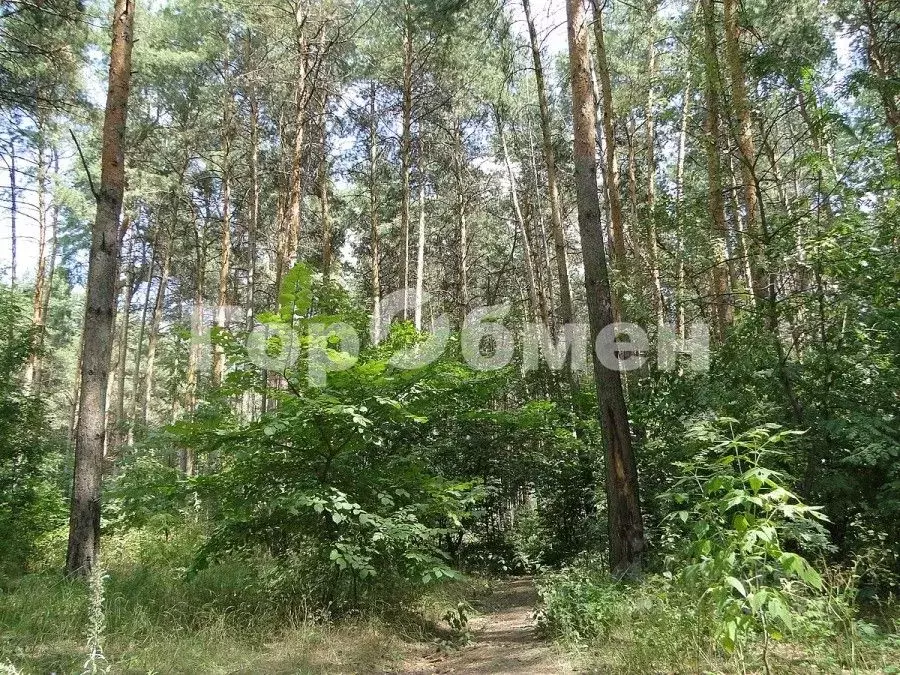 Участок в Калужская область, Жуковский муниципальный округ, Истье ... - Фото 2