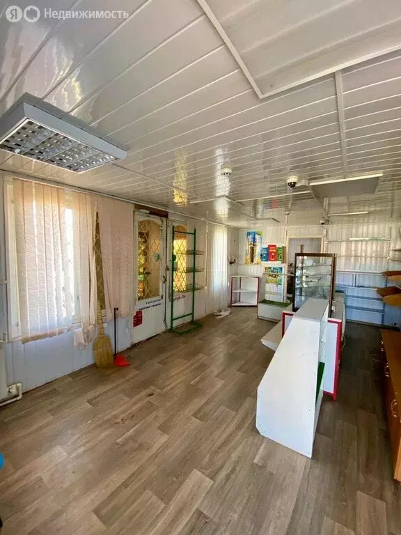 Торговая площадь (54.5 м) - Фото 1