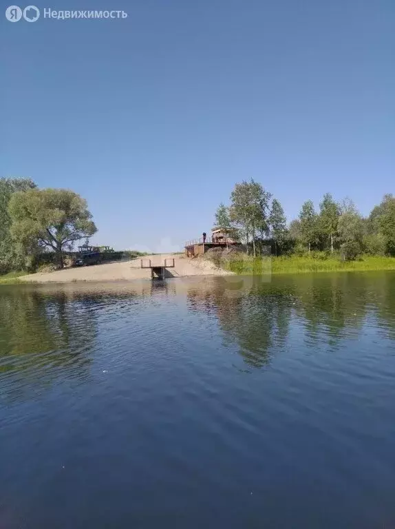 Участок в Колыванский район, ДНТ Сибирская Волость, Богатырская улица ... - Фото 1