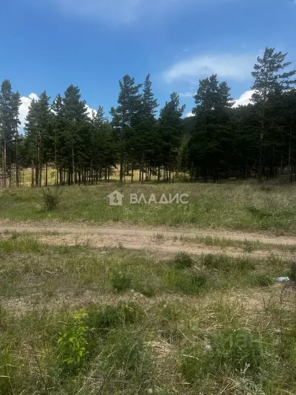 Участок в Бурятия, Улан-Удэ Серебряный Бор ДНТ,  (8.0 сот.) - Фото 1