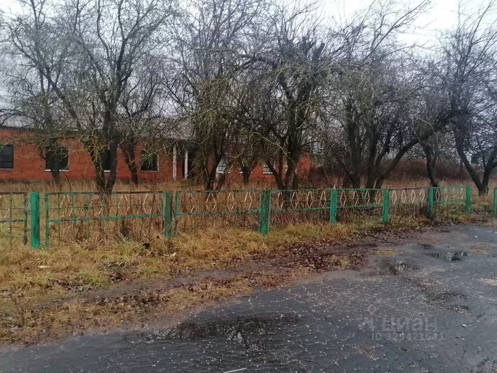 Помещение свободного назначения в Пензенская область, с. Вадинск  (317 ... - Фото 2