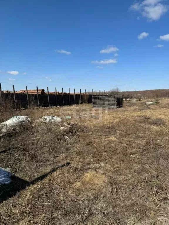 Участок в Амурская область, Серышевский муниципальный округ, с. ... - Фото 2