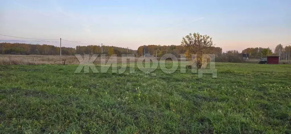Участок в Новосибирская область, Новосибирский район, Верх-Тулинский ... - Фото 2