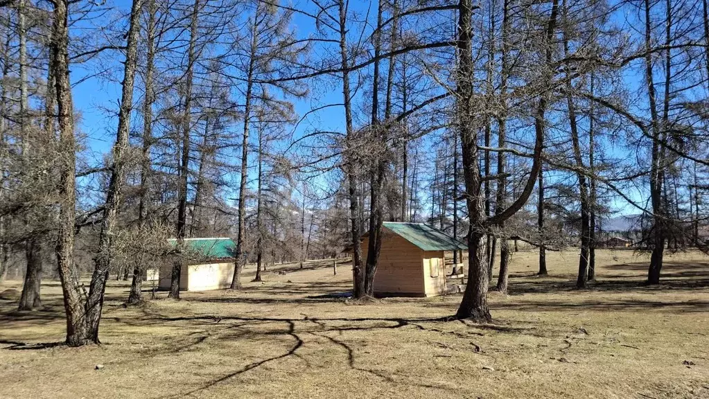 Дом в Алтай, Усть-Коксинский район, с. Мульта Школьная ул. (19 м) - Фото 2