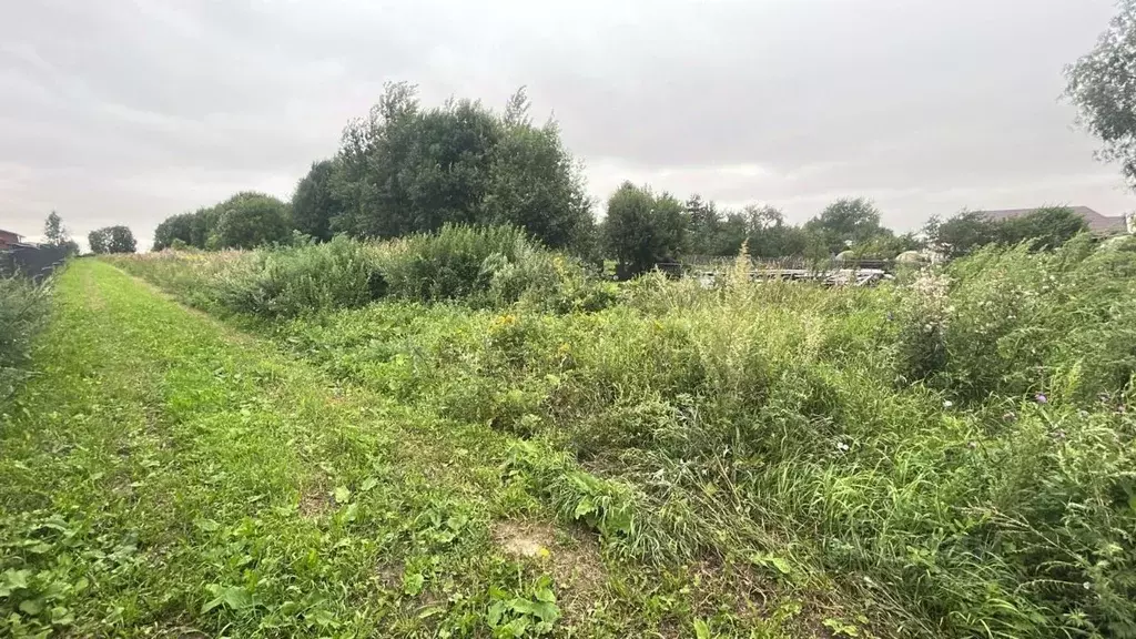 Участок в Московская область, Ступино городской округ, д. Дорки ул. ... - Фото 0