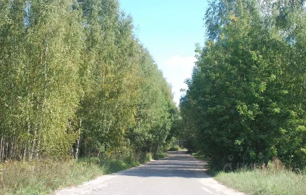 Дом в Тверская область, Конаковский муниципальный округ, д. Борцино  ... - Фото 2