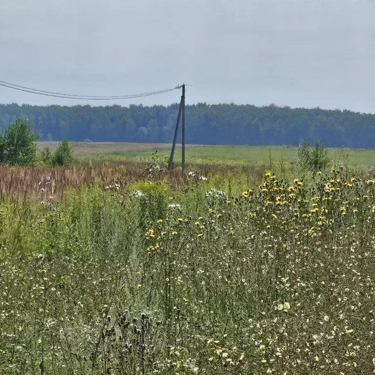 Участок в Московская область, Луховицы  (13.72 сот.) - Фото 1