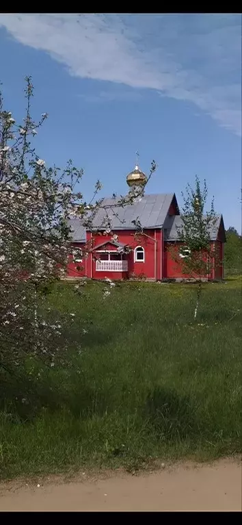 Коттедж в Новгородская область, Старорусский район, Великосельское ... - Фото 1