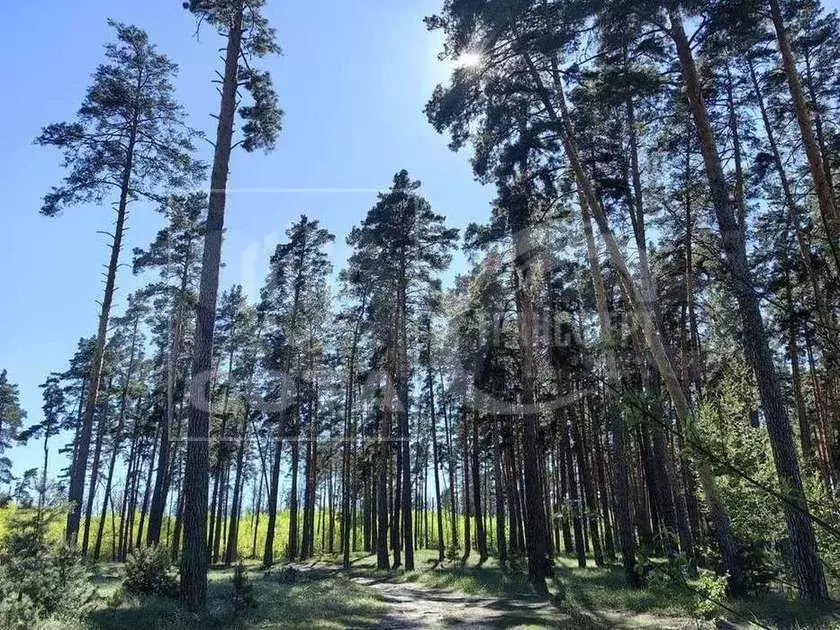 Дом 54 м на участке 4,2 сот. - Фото 0