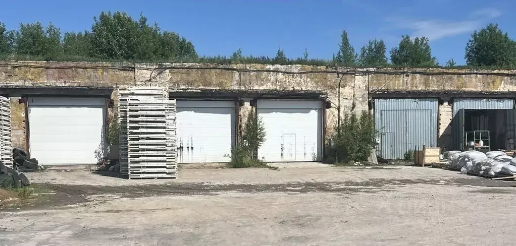 Производственное помещение в Ленинградская область, Всеволожский ... - Фото 2