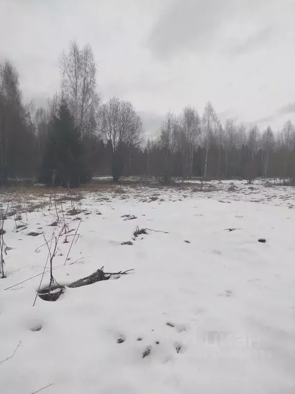 Участок в Московская область, Клин городской округ, д. Поджигородово  ... - Фото 1