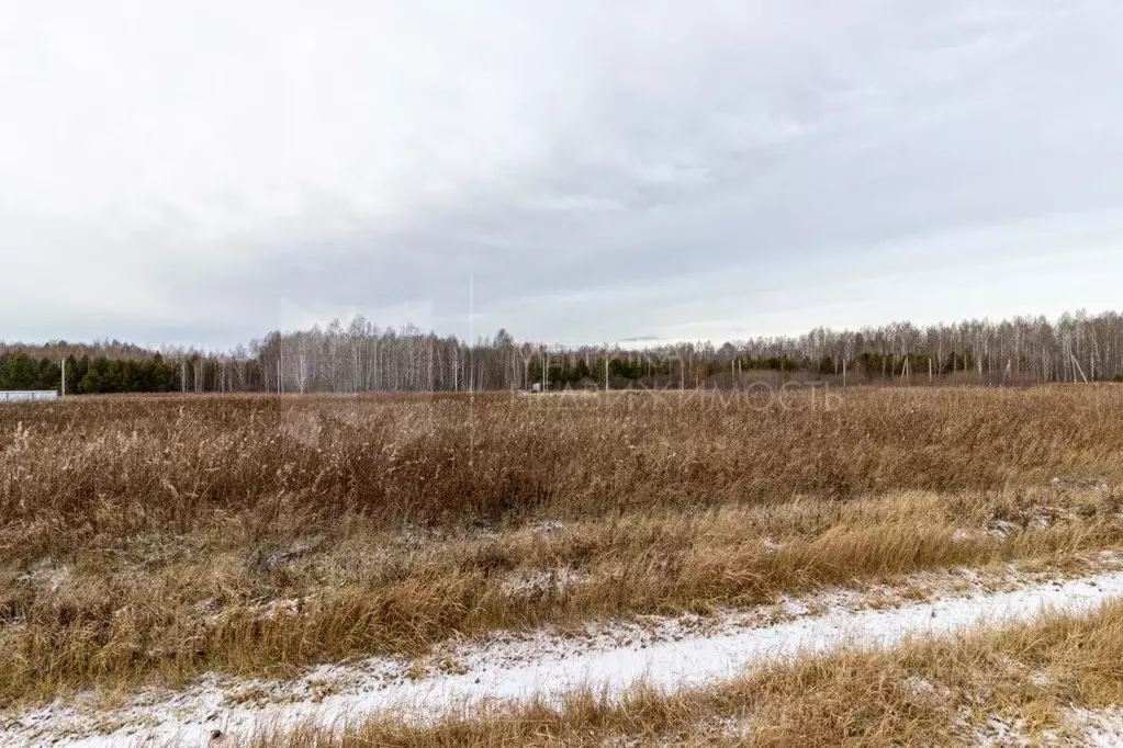 Участок в Тюменская область, Тюменский муниципальный округ, с. Кулига ... - Фото 1