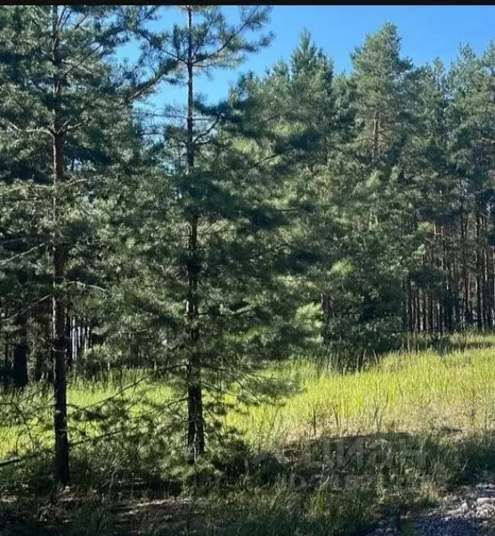 Участок в Рязанская область, Рязанский район, Дубровическое с/пос, с. ... - Фото 0