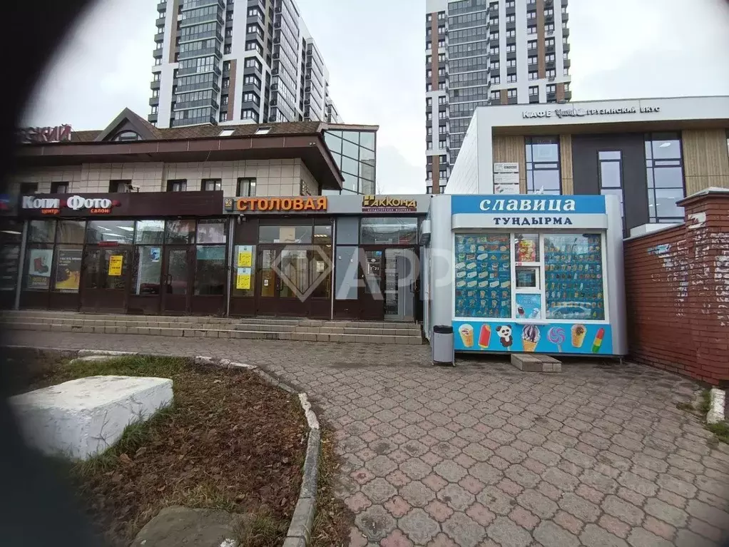 Помещение свободного назначения в Татарстан, Казань ул. Николая ... - Фото 2