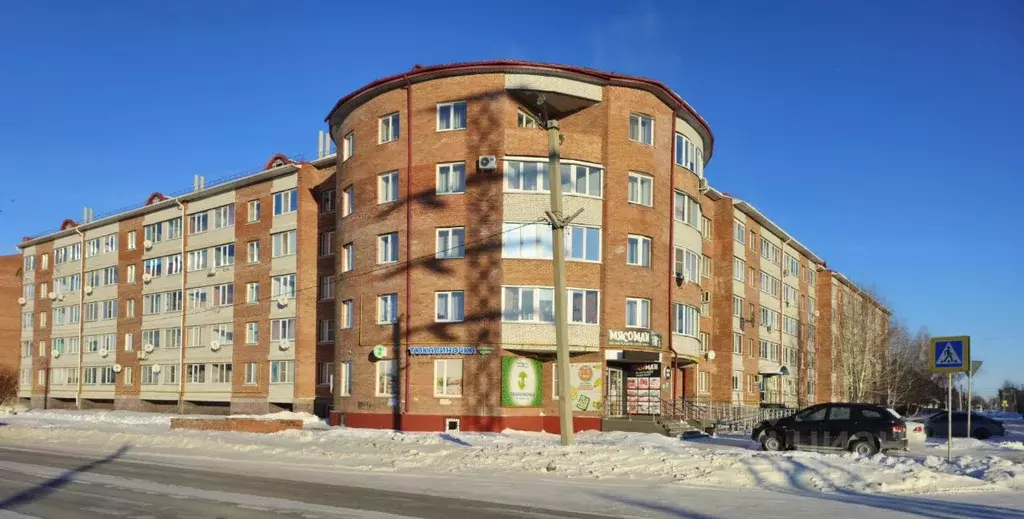 2-к кв. Омская область, Калачинск ул. Калинина, 96 (49.7 м) - Фото 1