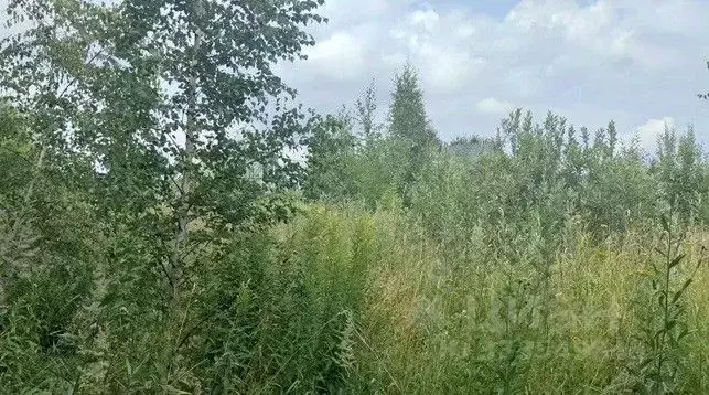 Участок в Московская область, Щелково городской округ, д. Малые ... - Фото 1