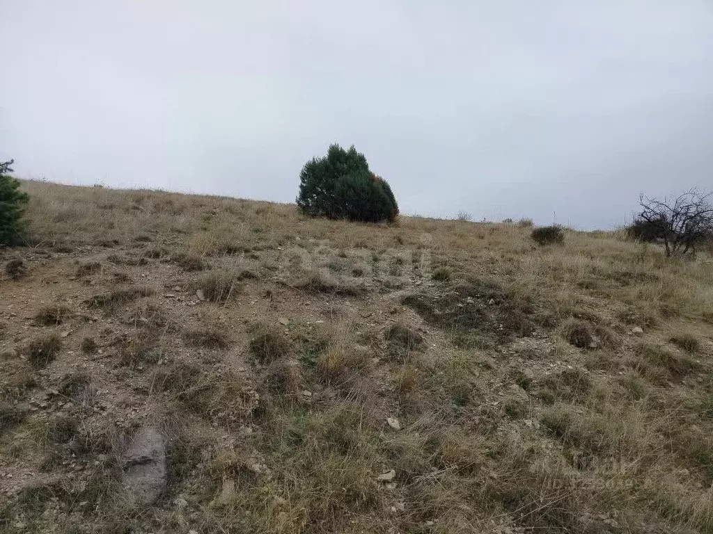 Участок в Крым, Судак  (1.0 сот.) - Фото 1