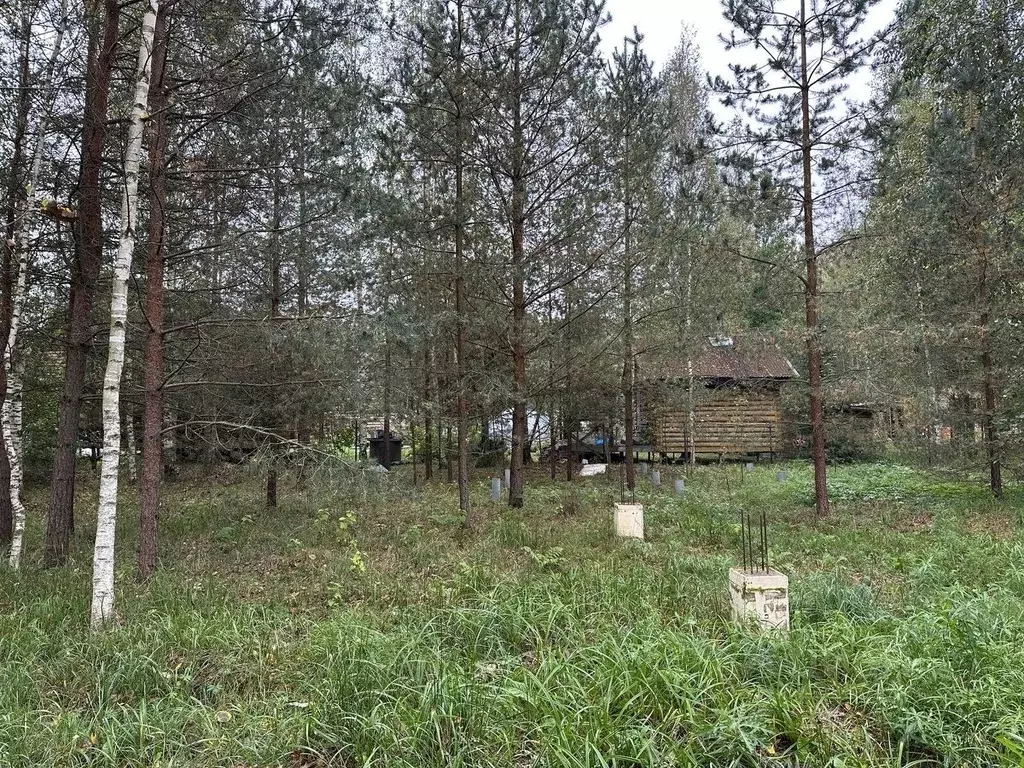 Участок в Ленинградская область, Всеволожский район, Рахья рп ул. ... - Фото 1