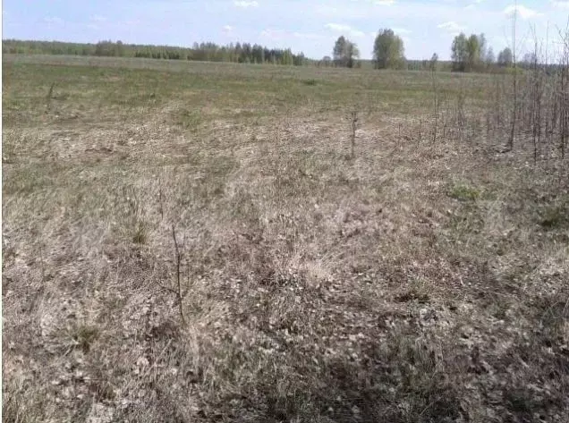Участок в Владимирская область, Камешковский район, Сергеихинское ... - Фото 1
