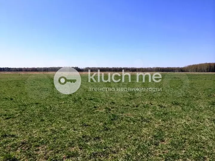 Участок 6,5 га (СНТ, ДНП) - Фото 1
