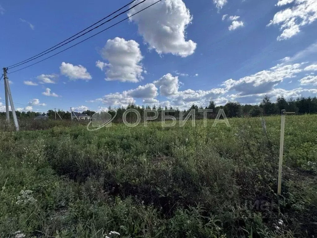 Участок в Тюменская область, Тюменский муниципальный округ, с. ... - Фото 1