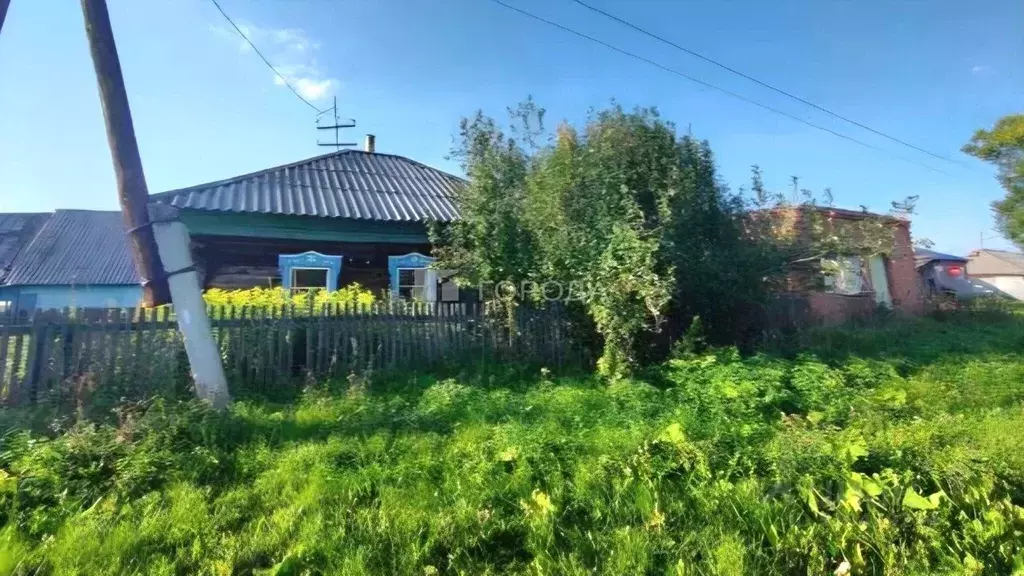 Дом в Новосибирская область, Тогучинский район, с. Дергаусово ул. ... - Фото 1