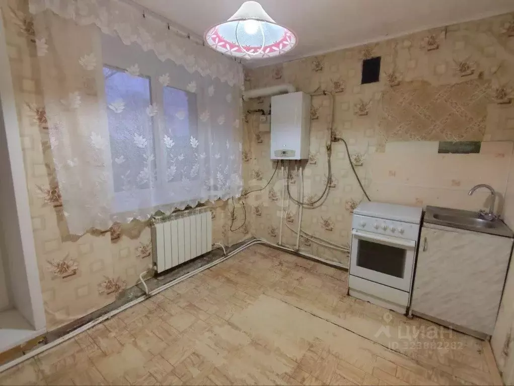 1-к кв. Владимирская область, Муром д. Пестенькино, ул. Центральная, ... - Фото 1