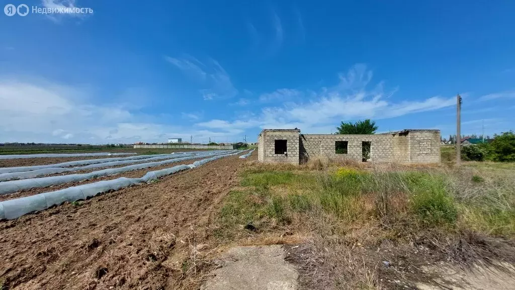 Участок в станица Голубицкая, улица Жеребцовой (1.4 м) - Фото 0