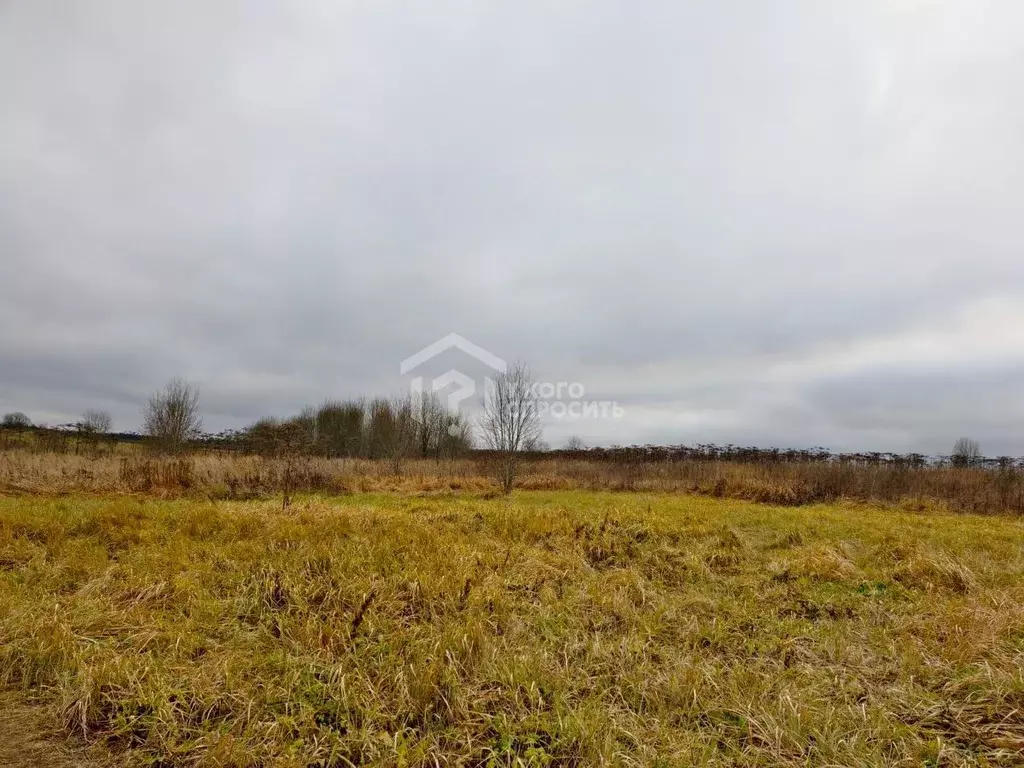 Участок в Ленинградская область, Ломоносовский район, Ропшинское ... - Фото 1