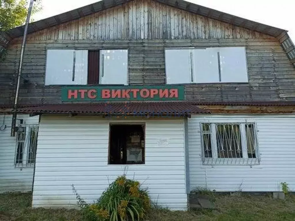 Участок в Чебоксары, садоводческое товарищество Виктория (3 м) - Фото 1