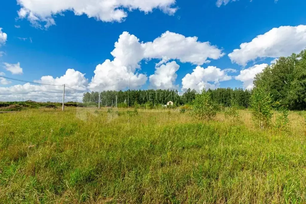 Участок в Курганская область, Белозерский муниципальный округ, д. ... - Фото 1