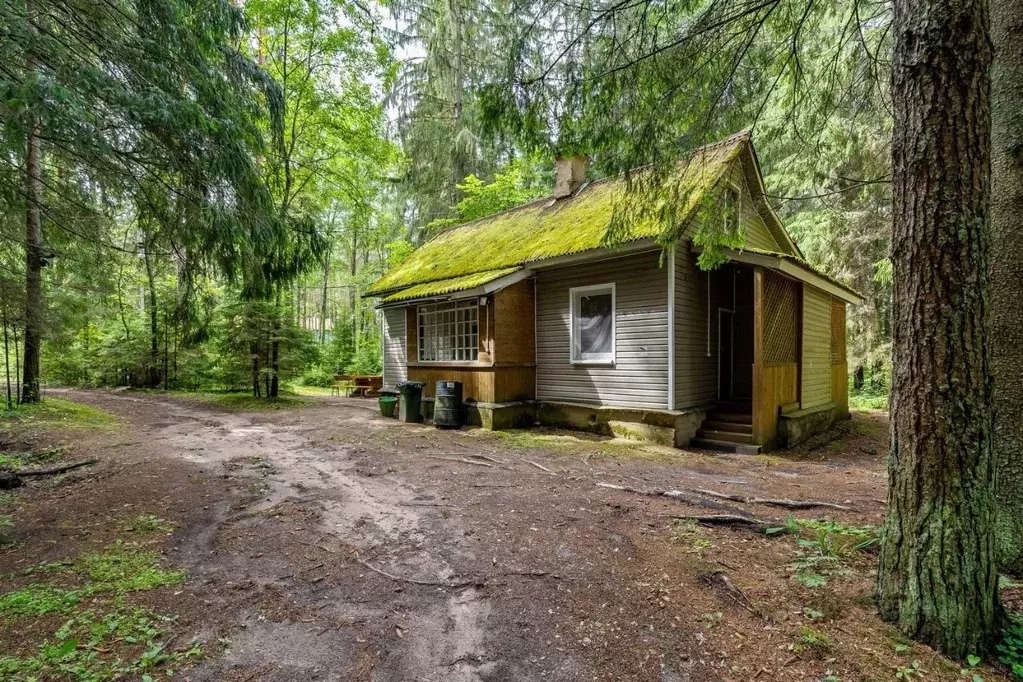 Дом в Ленинградская область, Лужский район, Толмачевское городское ... - Фото 1